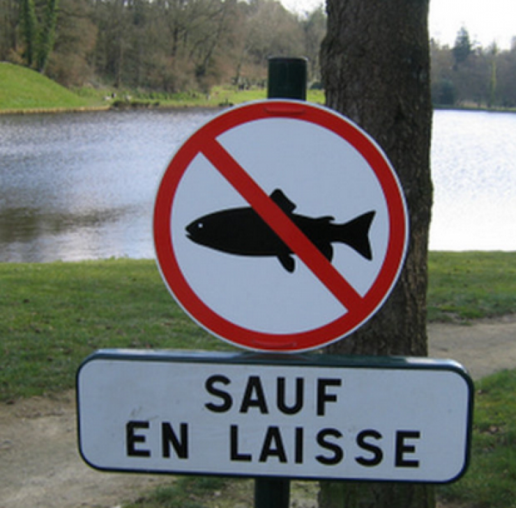 Illustration de l'article : 20 panneaux de signalisation qui ne manquent pas d'humour