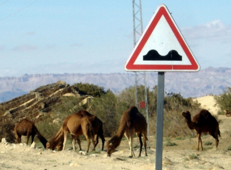 Illustration de l'article : 20 panneaux de signalisation qui ne manquent pas d'humour