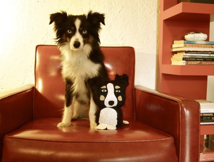 Illustration de l'article : 22 animaux photgraphiés aux côtés de peluches qui leur ressemblent comme deux gouttes d'eau