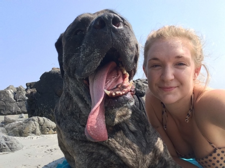 Illustration de l'article : On lui apprend que son chien a un cancer et elle d&eacute;cide de faire quelque chose d'incroyable pour lui...