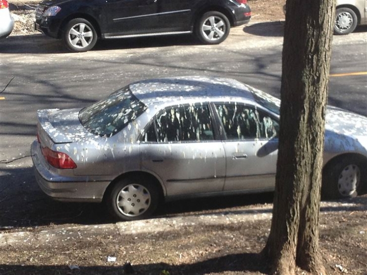 Illustration de l'article : 11 automobilistes tr&egrave;s mal gar&eacute;s et qui l'ont pay&eacute; cash