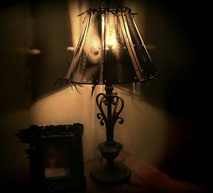 Illustration de l'article : Elle crée des lampes avec des radiographies d'animaux