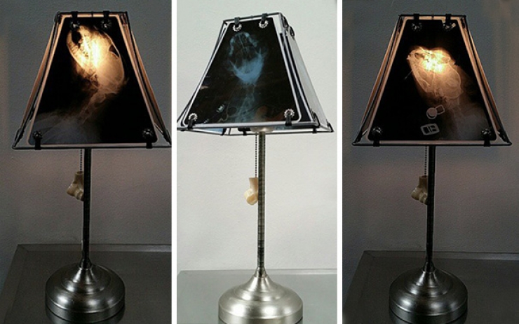 Illustration de l'article : Elle crée des lampes avec des radiographies d'animaux