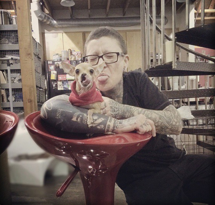 Illustration de l'article : Elle crée des lampes avec des radiographies d'animaux