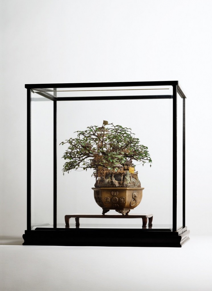 Illustration de l'article : Il transforme des bonsa&iuml;s en magnifiques maisons miniatures