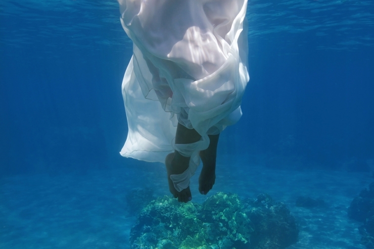 Illustration de l'article : Ne voulant pas de photos de mariage banales, ils immortalisent le moment sous l'eau !