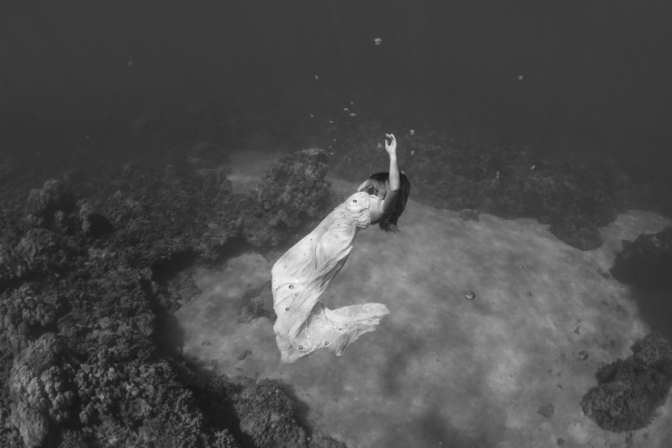 Illustration de l'article : Ne voulant pas de photos de mariage banales, ils immortalisent le moment sous l'eau !