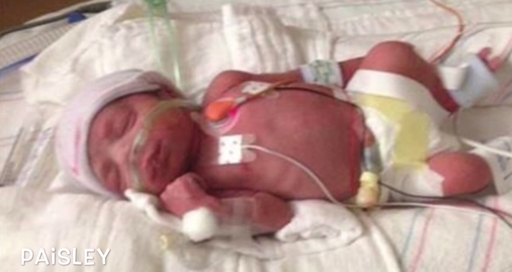 Illustration de l'article : Elle met des quadruplés au monde avant que la famille soit foudroyée par la cruauté de la vie...