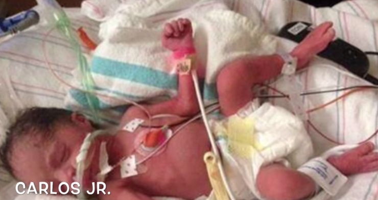 Illustration de l'article : Elle met des quadruplés au monde avant que la famille soit foudroyée par la cruauté de la vie...