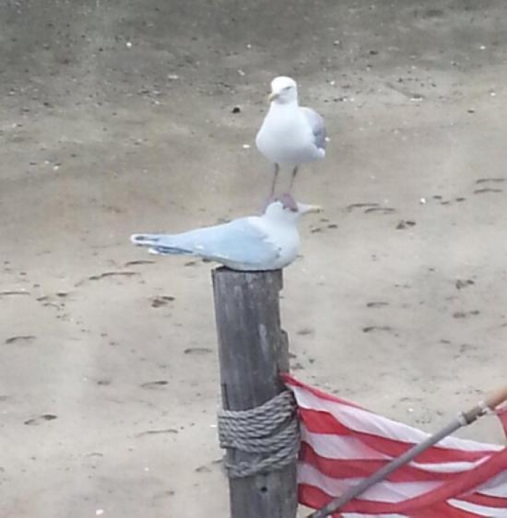 Illustration de l'article : Ces 14 personnes se foutent éperdument de ce que peuvent penser les autres...