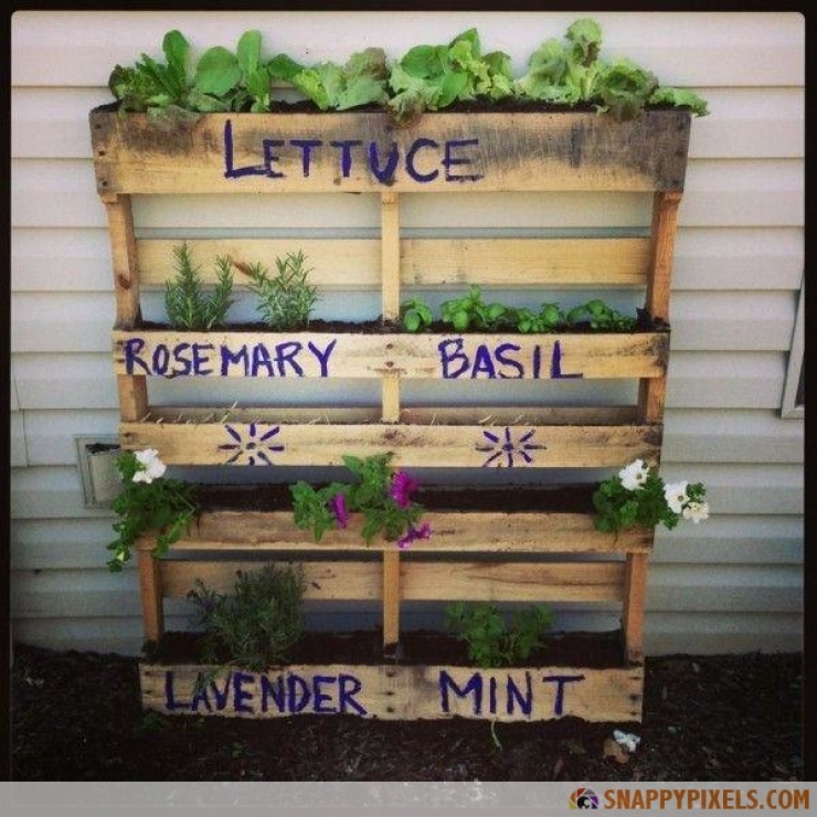 Illustration de l'article : Une nouvelle s&eacute;rie de 149 cr&eacute;ations &agrave; faire &agrave; partir de palettes. Jolie Cr&eacute;ativit&eacute; !