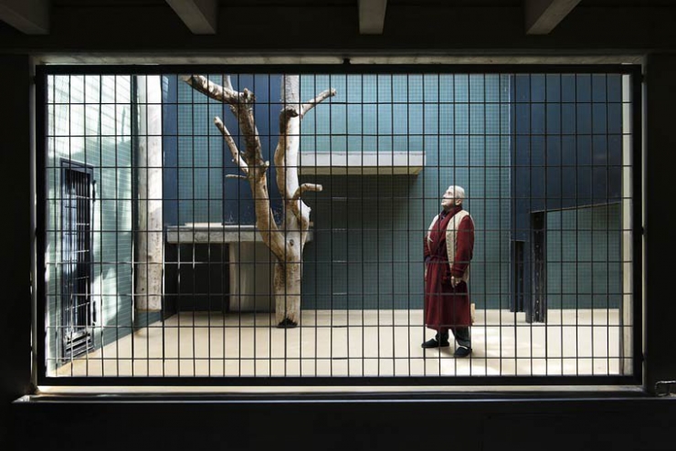 Illustration de l'article : Ce photographe a mis des humains en cage pour lutter contre l'enfermement des animaux...