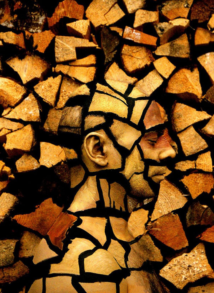 Illustration de l'article : Ceci n'est pas un cam&eacute;l&eacute;on!