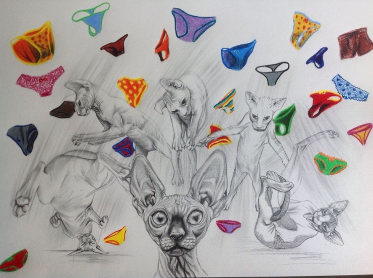 Illustration de l'article : La sp&eacute;cialit&eacute; de cette artiste : dessiner des sphynx