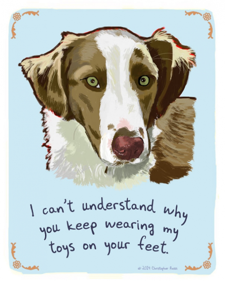 Illustration de l'article : Chiens et chats livrent leurs confessions secr&egrave;tes (14 photos)