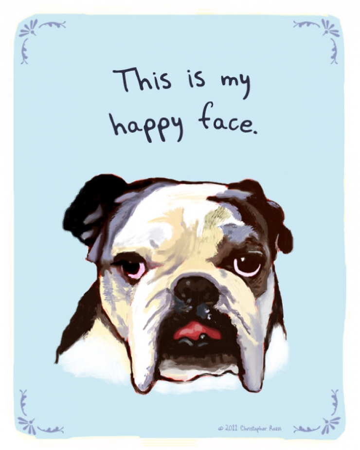 Illustration de l'article : Chiens et chats livrent leurs confessions secr&egrave;tes (14 photos)