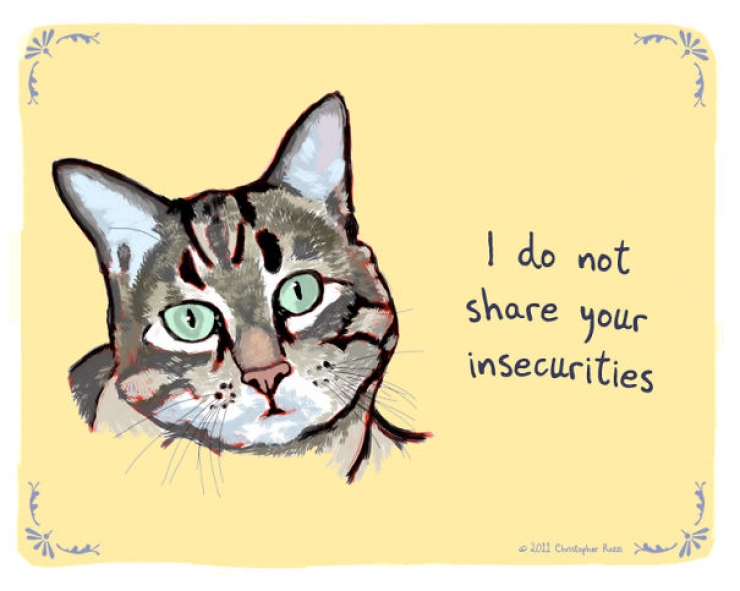 Illustration de l'article : Chiens et chats livrent leurs confessions secr&egrave;tes (14 photos)