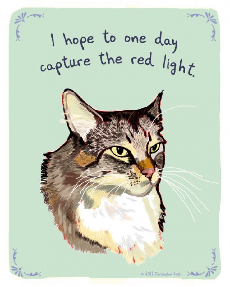 Illustration de l'article : Chiens et chats livrent leurs confessions secr&egrave;tes (14 photos)