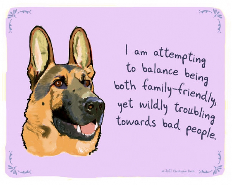 Illustration de l'article : Chiens et chats livrent leurs confessions secr&egrave;tes (14 photos)