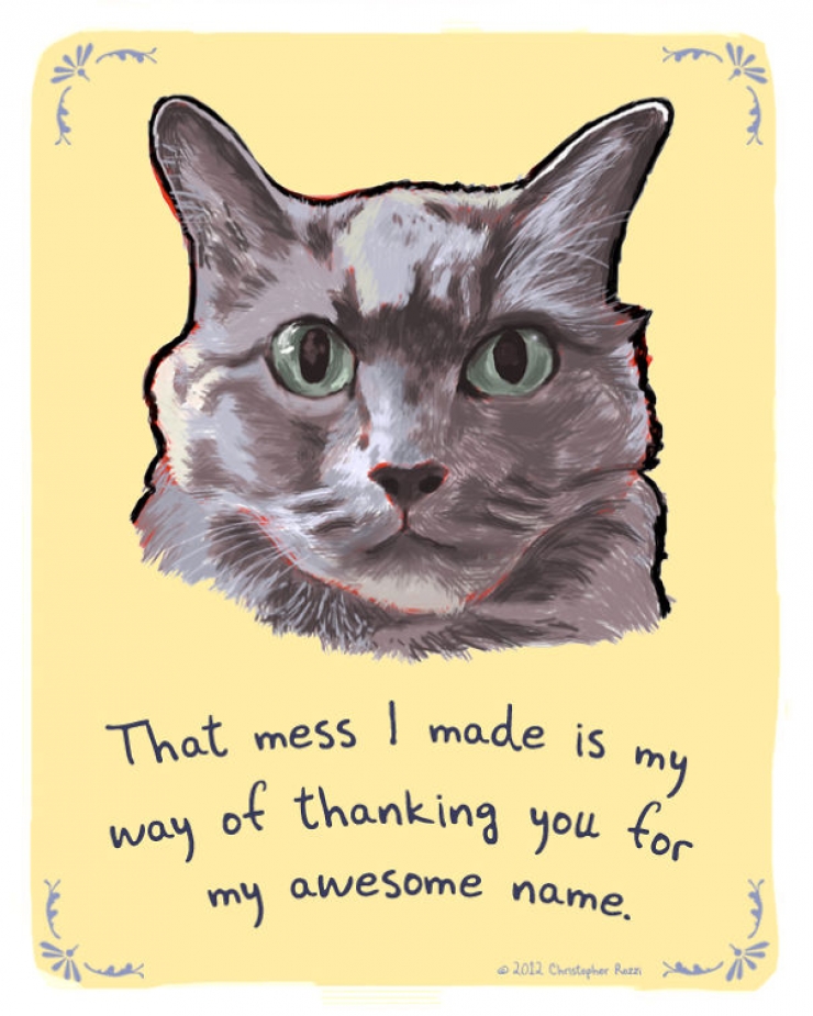 Illustration de l'article : Chiens et chats livrent leurs confessions secr&egrave;tes (14 photos)