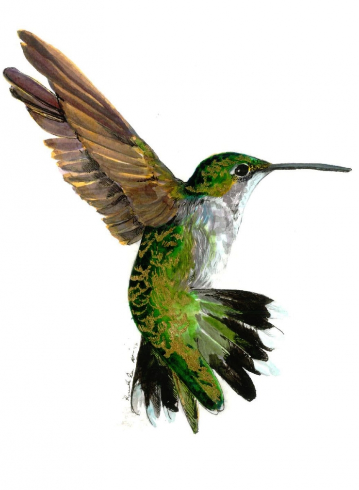 Illustration de l'article : Elle peint de magnifiques aquarelles repr&eacute;sentant les animaux qu'elle a c&ocirc;toy&eacute;s durant trois ans