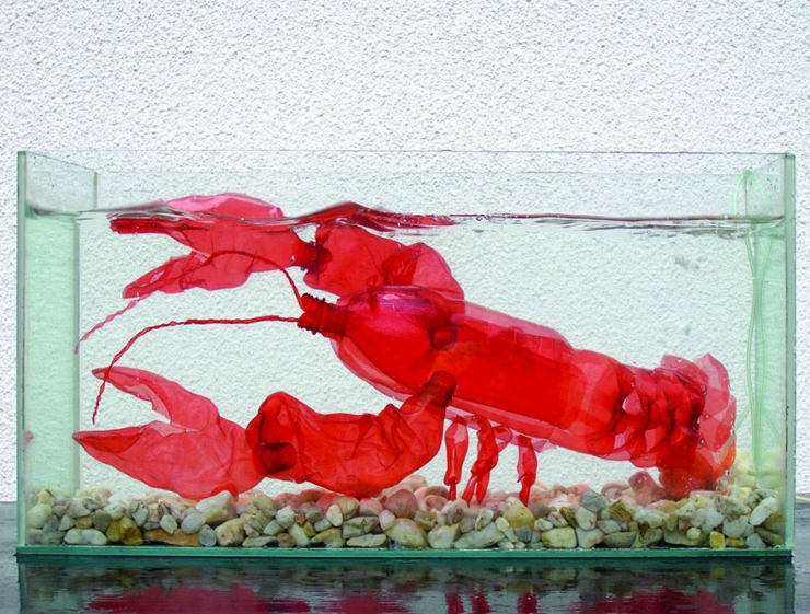 Illustration de l'article : Elle crée de superbes objets à partir de simples bouteilles en plastique