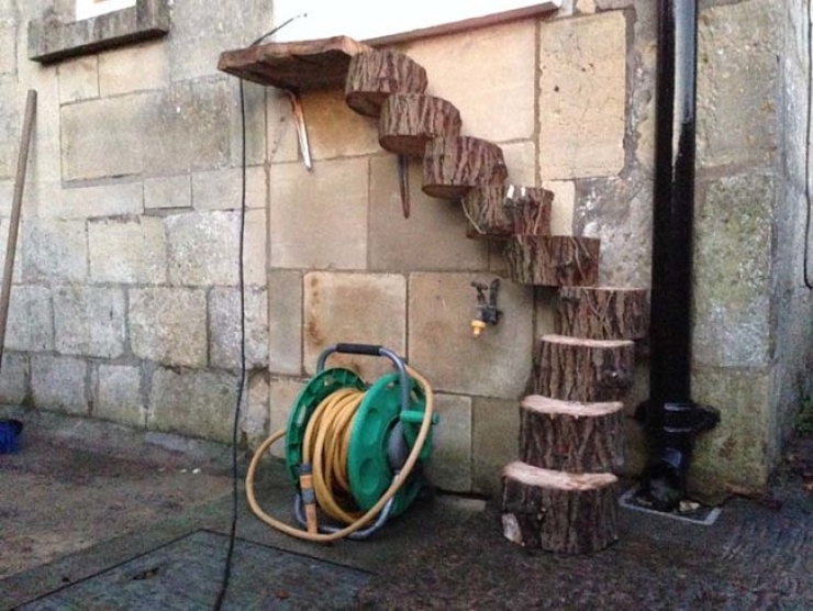 Illustration de l'article : Un arbre tombe dans sa cour et ce qu'il va construire pour son chat est excellent ! Un g&eacute;nie !