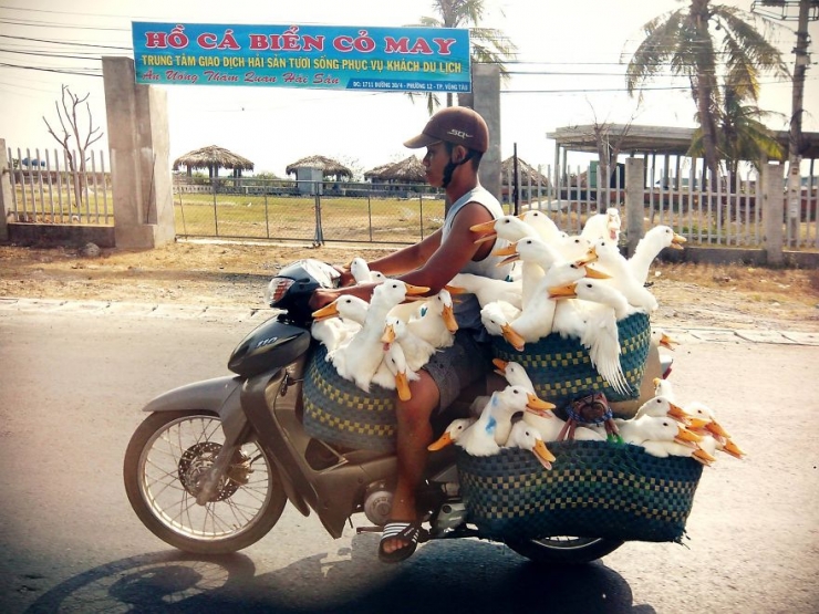 Illustration de l'article : Ces 10 v&eacute;hicules sont tellement surcharg&eacute;s que l'on se demande comment ils peuvent encore rouler