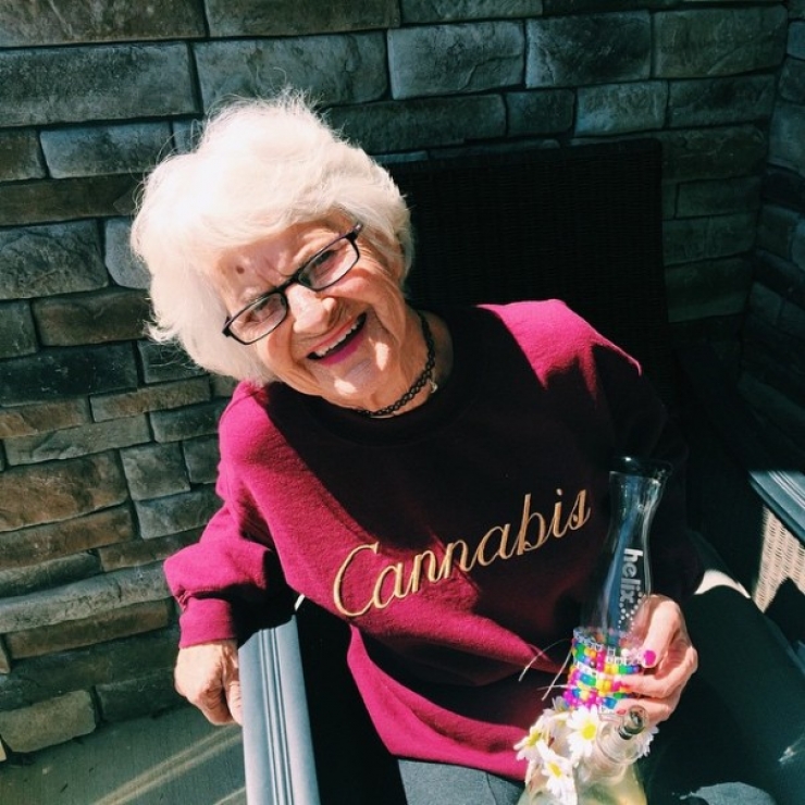 Illustration de l'article : A 86 ans, cette mamie hors du commun fait sensation sur Instagram