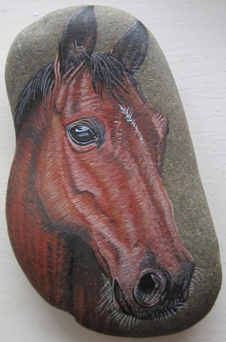 Illustration de l'article : Top 50 des plus belles pierres peintes...Un vrai travail de génie !