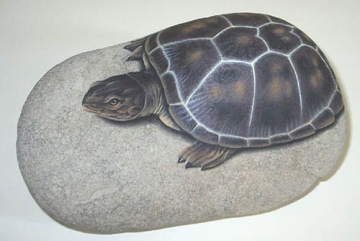 Illustration de l'article : Top 50 des plus belles pierres peintes...Un vrai travail de génie !