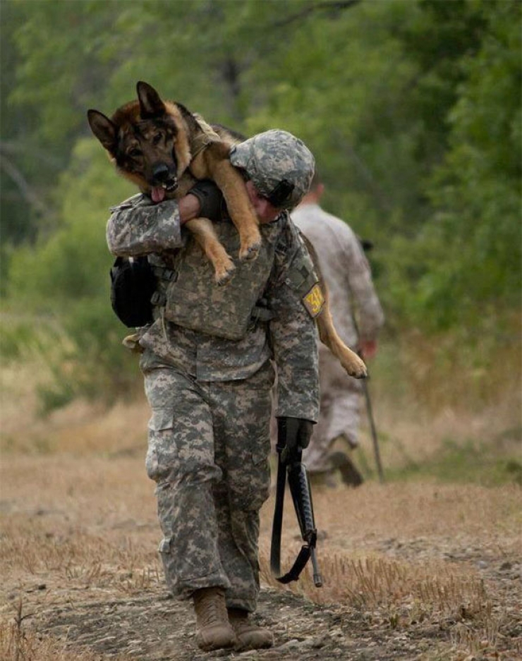 Illustration de l'article : Petite minute de tendresse avec ces soldats accompagnés de leurs meilleurs amis...Leurs animaux !