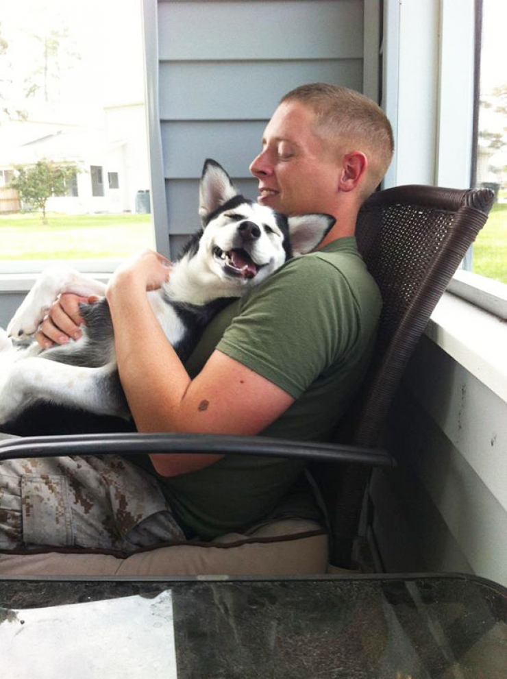 Illustration de l'article : Petite minute de tendresse avec ces soldats accompagnés de leurs meilleurs amis...Leurs animaux !