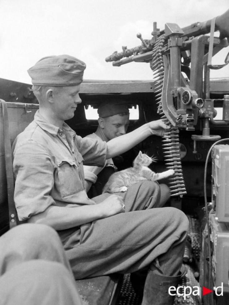 Illustration de l'article : Petite minute de tendresse avec ces soldats accompagnés de leurs meilleurs amis...Leurs animaux !