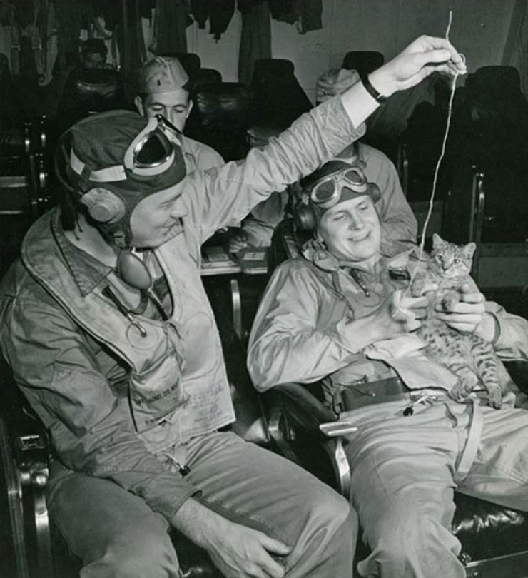 Illustration de l'article : Petite minute de tendresse avec ces soldats accompagnés de leurs meilleurs amis...Leurs animaux !