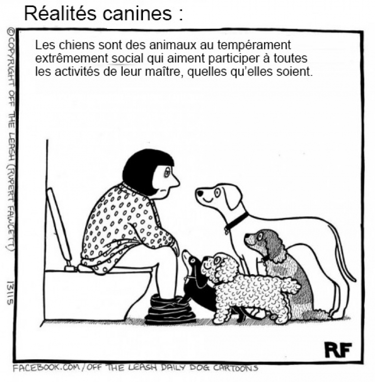 Illustration de l'article : Voici ce que vous pourriez capter si vous arriviez à lire dans les pensées des chiens !