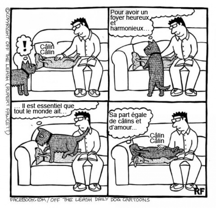 Illustration de l'article : Voici ce que vous pourriez capter si vous arriviez à lire dans les pensées des chiens !