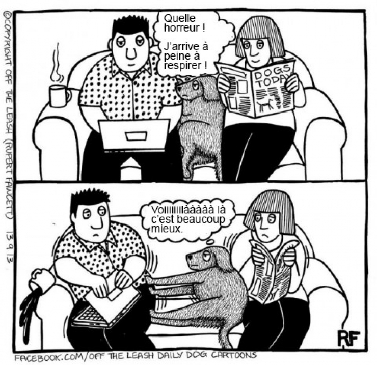 Illustration de l'article : Voici ce que vous pourriez capter si vous arriviez à lire dans les pensées des chiens !