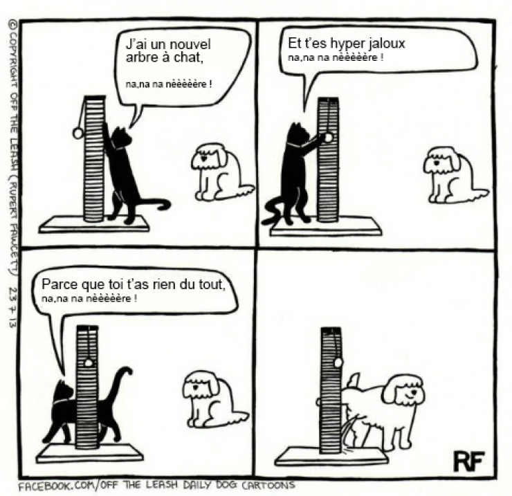 Illustration de l'article : Voici ce que vous pourriez capter si vous arriviez &agrave; lire dans les pens&eacute;es des chiens ! 