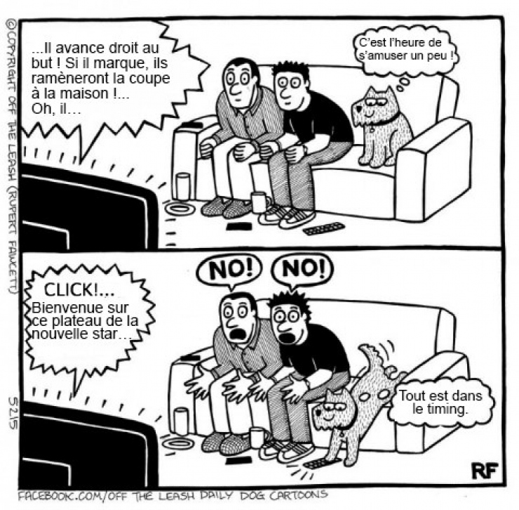 Illustration de l'article : Voici ce que vous pourriez capter si vous arriviez à lire dans les pensées des chiens !