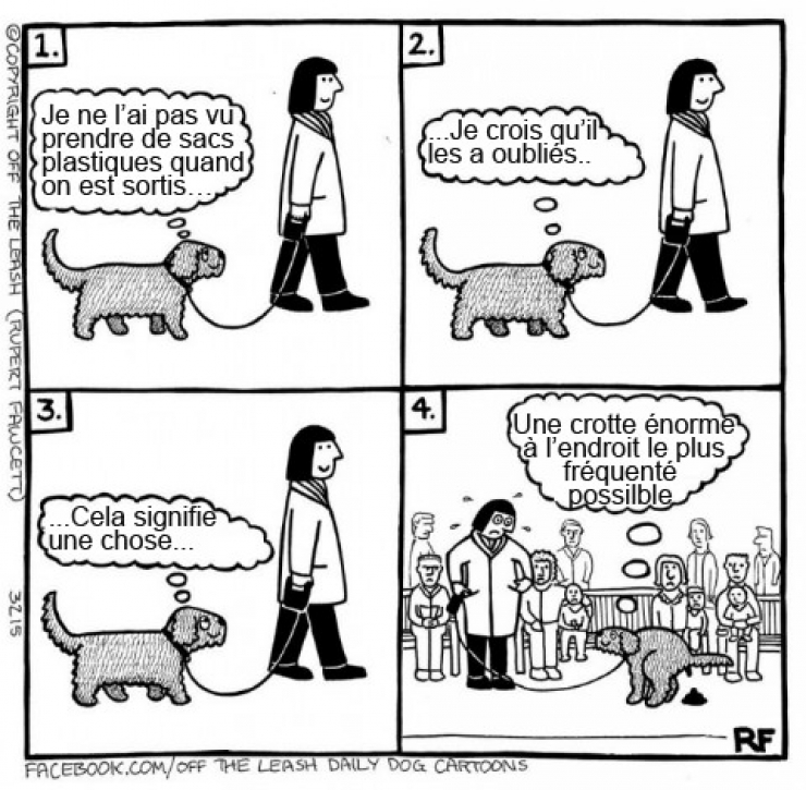 Illustration de l'article : Voici ce que vous pourriez capter si vous arriviez à lire dans les pensées des chiens !