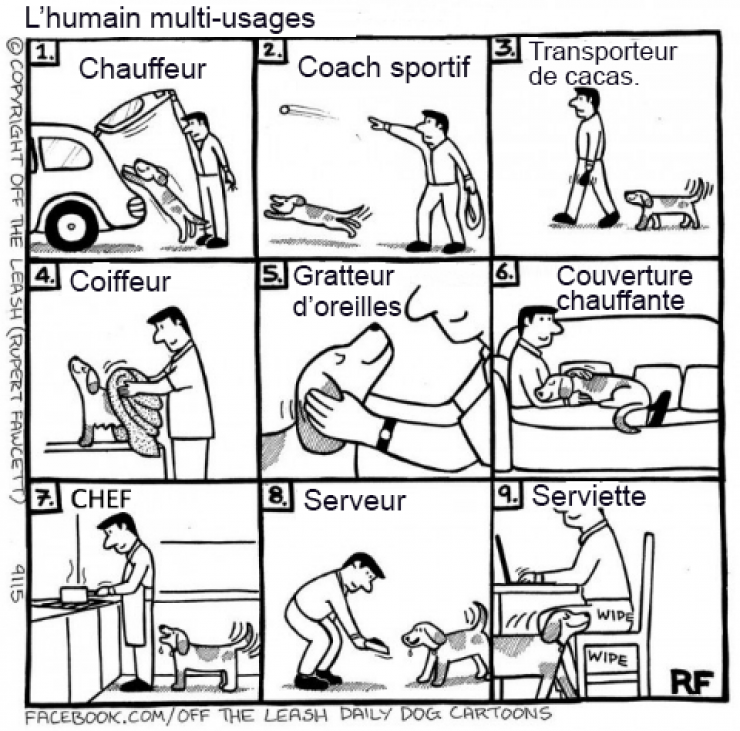 Illustration de l'article : Voici ce que vous pourriez capter si vous arriviez à lire dans les pensées des chiens !