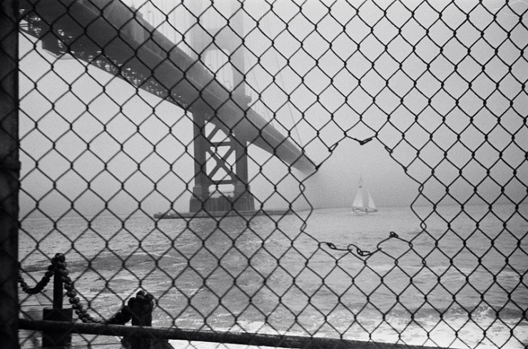 Illustration de l'article : Ces 35 photos ont &eacute;t&eacute; capt&eacute;es au moment PARFAIT ! Il serait difficile de faire mieux...