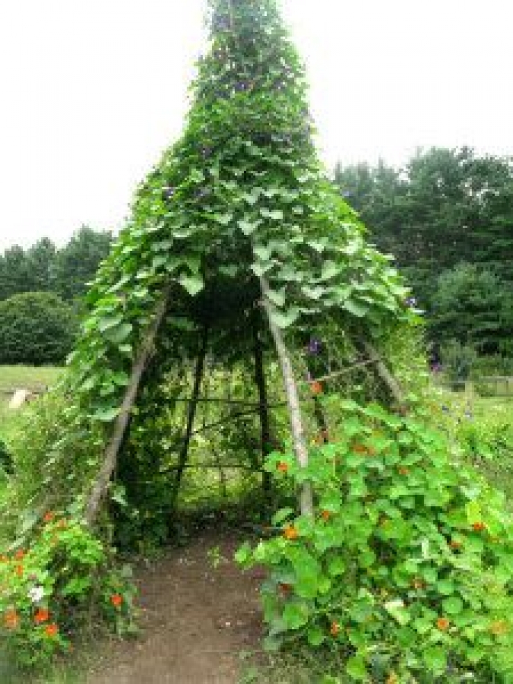 Illustration de l'article : Des objets d&eacute;cos r&eacute;alis&eacute;s &agrave; partir de branches ! Cr&eacute;ativit&eacute; quand tu nous tiens...