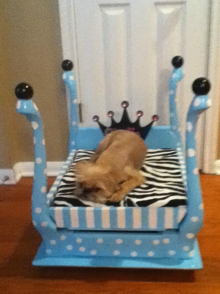 Illustration de l'article : 12 lits pour chiens fabriqu&eacute;s &agrave; partir de petites tables ! Ca peut vous donner des id&eacute;es...