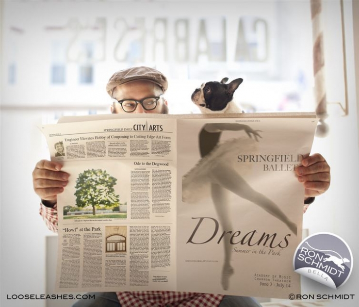 Illustration de l'article : 16 photos de chiens prises au meilleur moment