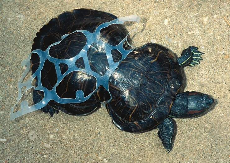 Illustration de l'article : L'ampleur des dégâts causés par la pollution illustrée par 15 photos saisissantes ! Jusqu'ou irons-nous ?