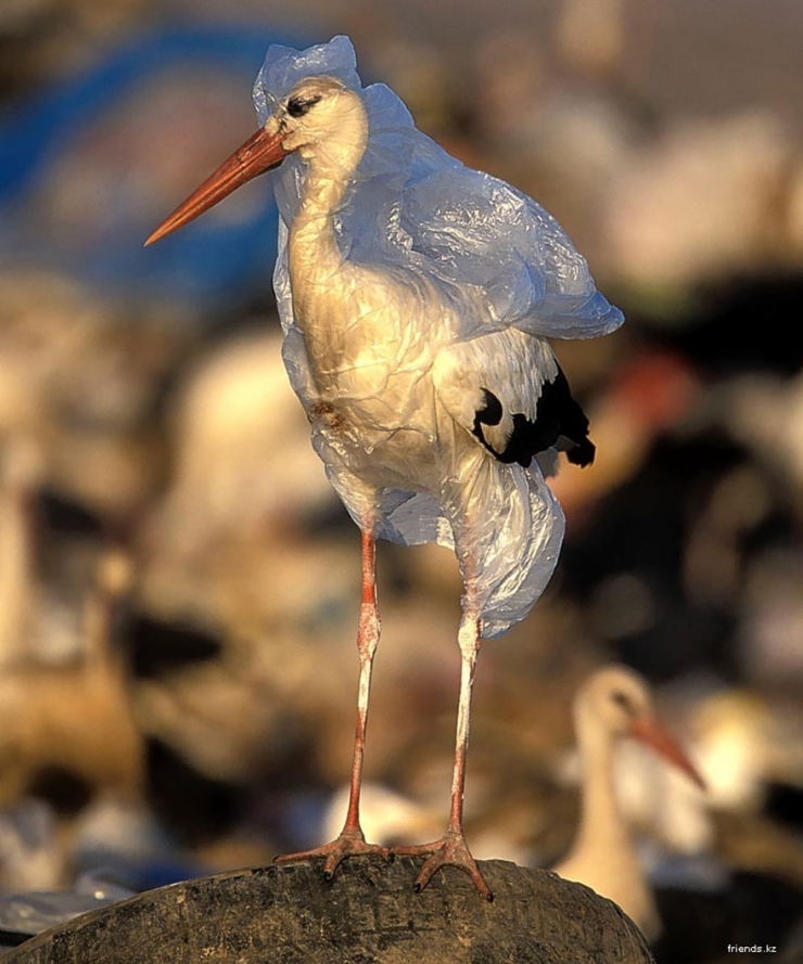 Illustration de l'article : L'ampleur des dégâts causés par la pollution illustrée par 15 photos saisissantes ! Jusqu'ou irons-nous ?