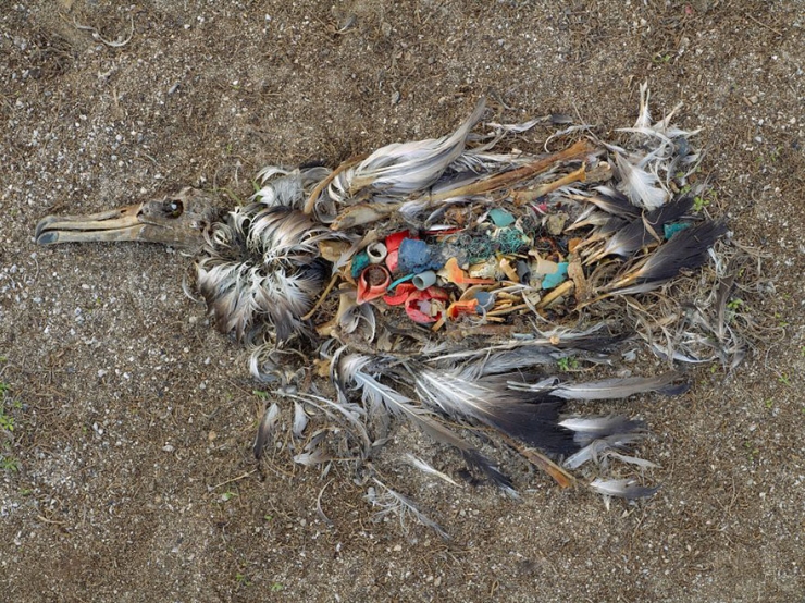 Illustration de l'article : L'ampleur des dégâts causés par la pollution illustrée par 15 photos saisissantes ! Jusqu'ou irons-nous ?