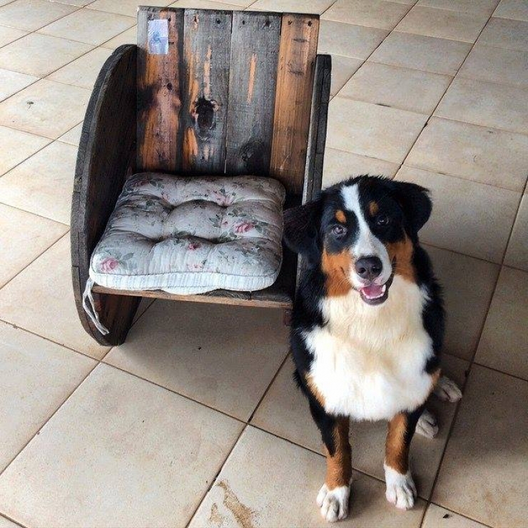 Illustration de l'article : Nouvelle s&eacute;rie de 42 r&eacute;alisations &agrave; base de palettes, juste pour votre inspiration...